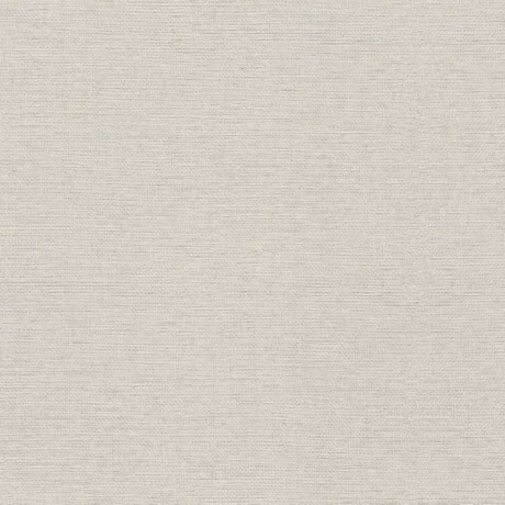Шпалери Rasch Jolly 970623