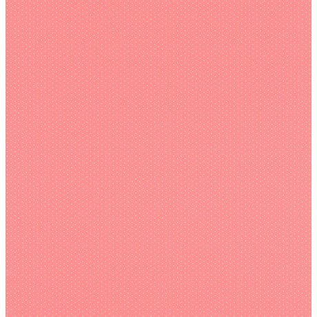 Шпалери Rasch Petite Fleur 5 288505
