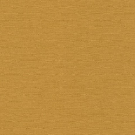 Шпалери Rasch Salsa 452075