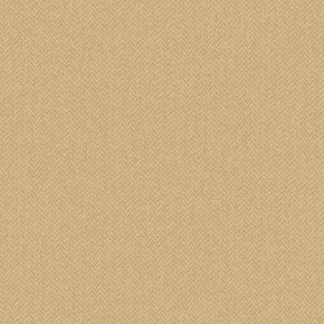 Шпалери Caselio Chevron CVR102221387