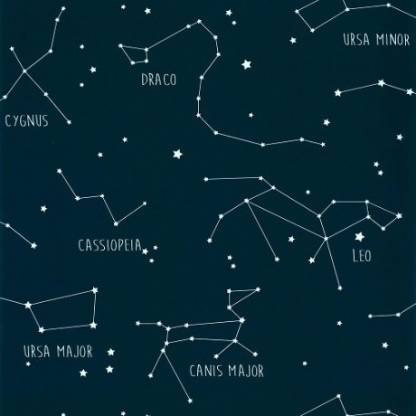 Дитячі шпалери Caselio Our Planet OUP101916918