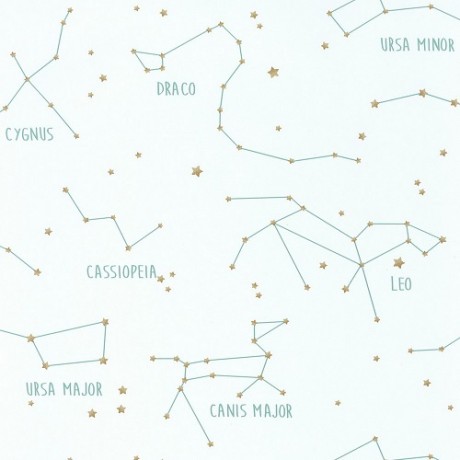 Дитячі шпалери Caselio Our Planet OUP101917125