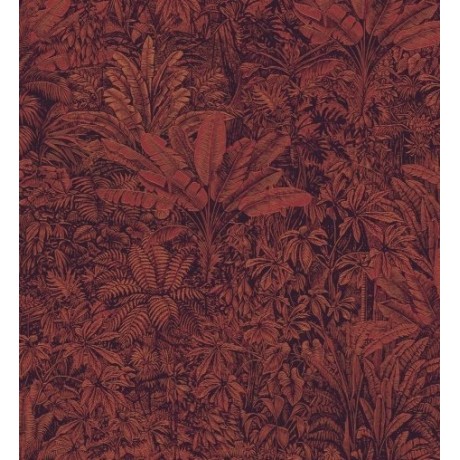 Шпалери Khroma Cabinet Of Curiosities CAB305