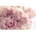 3D Фотообои  3Д Воздушые розовые цветы w-Adob_1240